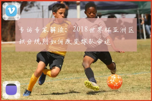 专访专家解读:2018世界杯亚洲区积分规则如何改变球队命运