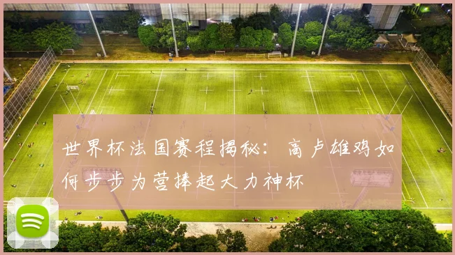 世界杯法国赛程揭秘:高卢雄鸡如何步步为营捧起大力神杯
