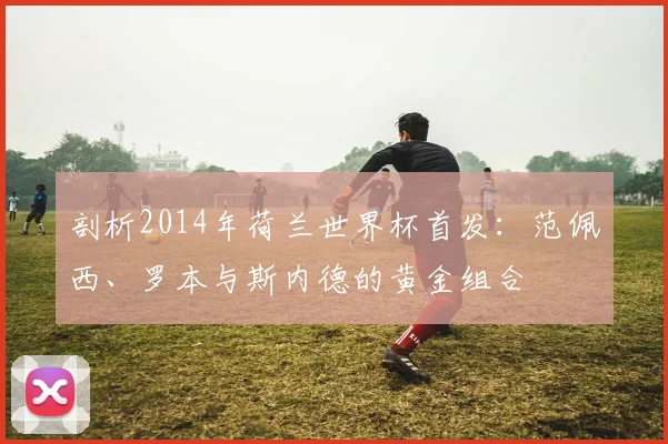剖析2014年荷兰世界杯首发：范佩西、罗本与斯内德的黄金组合