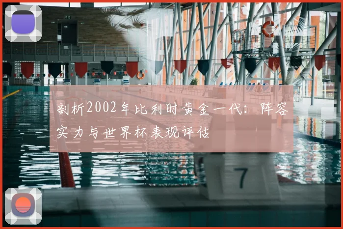 剖析2002年比利时黄金一代：阵容实力与世界杯表现评估