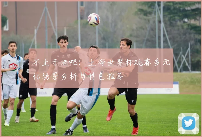 不止于酒吧：上海世界杯观赛多元化场景分析与特色推荐