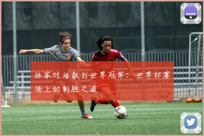 独家对话散打世界冠军：世界杯赛场上的制胜之道